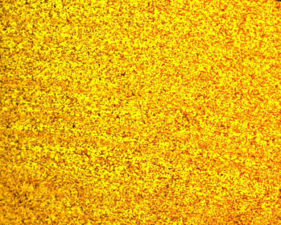 Neuer Prozess Vertical200X