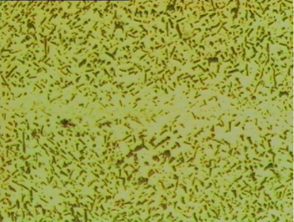 Allgemeiner interner OxidationsprozessHorizontal 200X