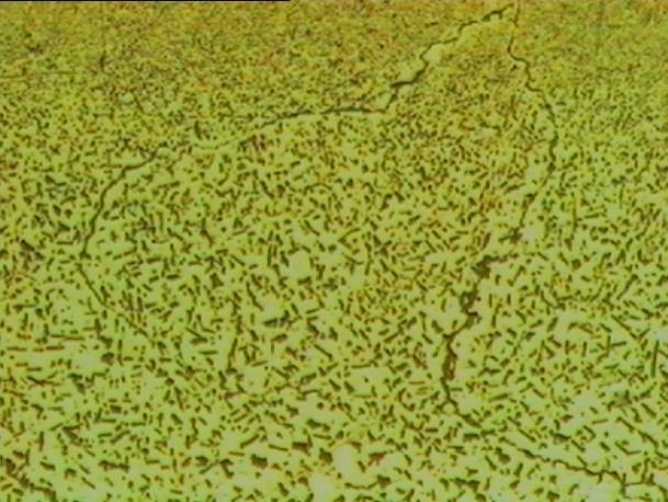 Gemeinsamer interner Oxidationsprozess Vertical200X