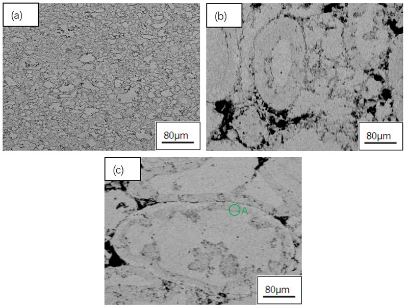 Wie wirkt sich die Partikelgröße des AgSn-Legierungspulvers auf die Leistung aus?