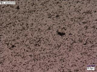 Leimmischgranulierung