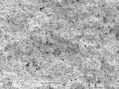 b—Ultraschalldispersion 500x