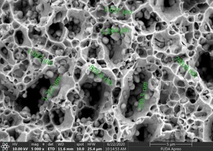 d—Ultraschalldispersion 5000x