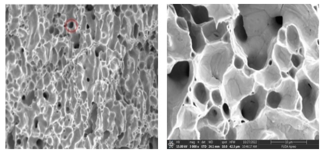 Poren in der Silberschicht