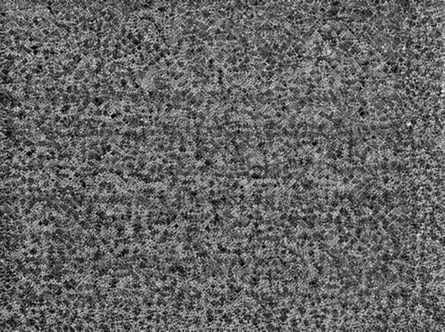 Microstructure of modified AgCdO12