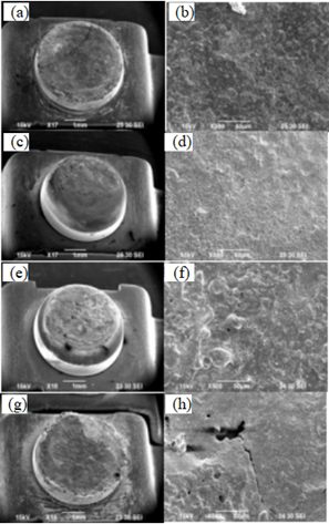Die Lichtbogenerosionsmorphologie von AgNi-Werkstoffen mit unterschiedlichem Ni-Gehalt (beweglicher Kontakt)