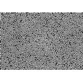 Mikro-Nano-Silberpulver - PM04