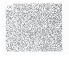 Metallographische Organisation