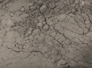 Mit deionisiertem Wasser gewaschen