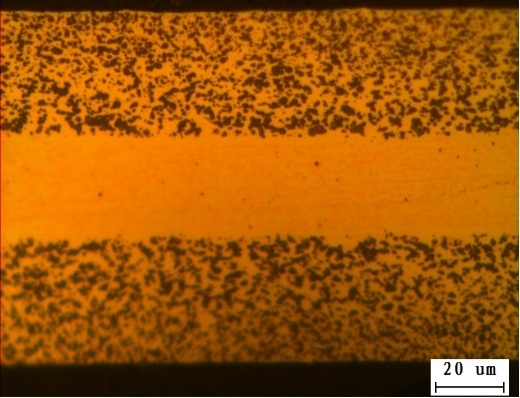 Organisation und Morphologie
