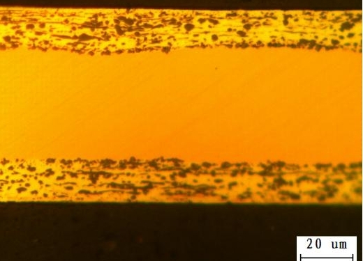 Organisation und Morphologie